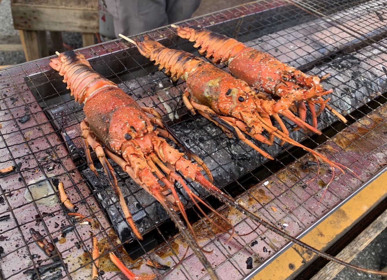 大原漁港　港の朝市