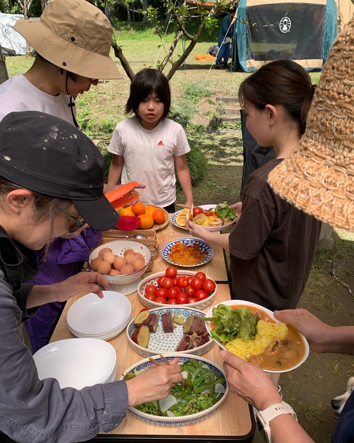 米作り体験　1人1年分の米づくりワークショップ