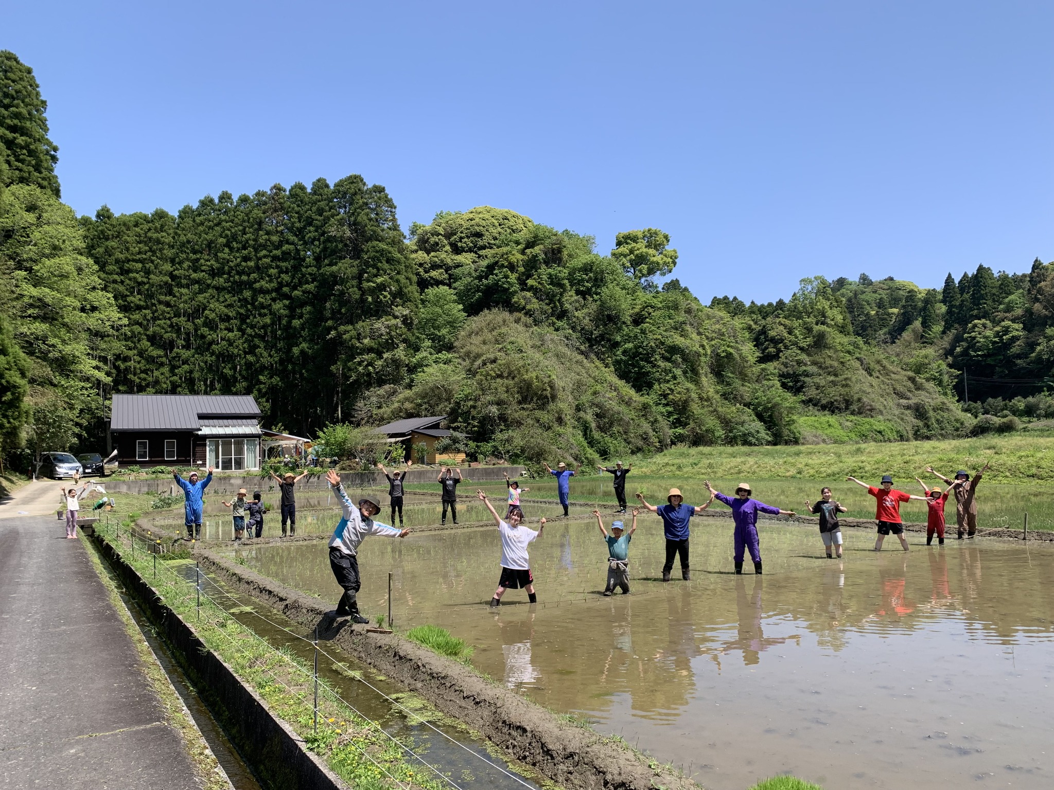 米作り体験　米づくりワークショップ　田植え