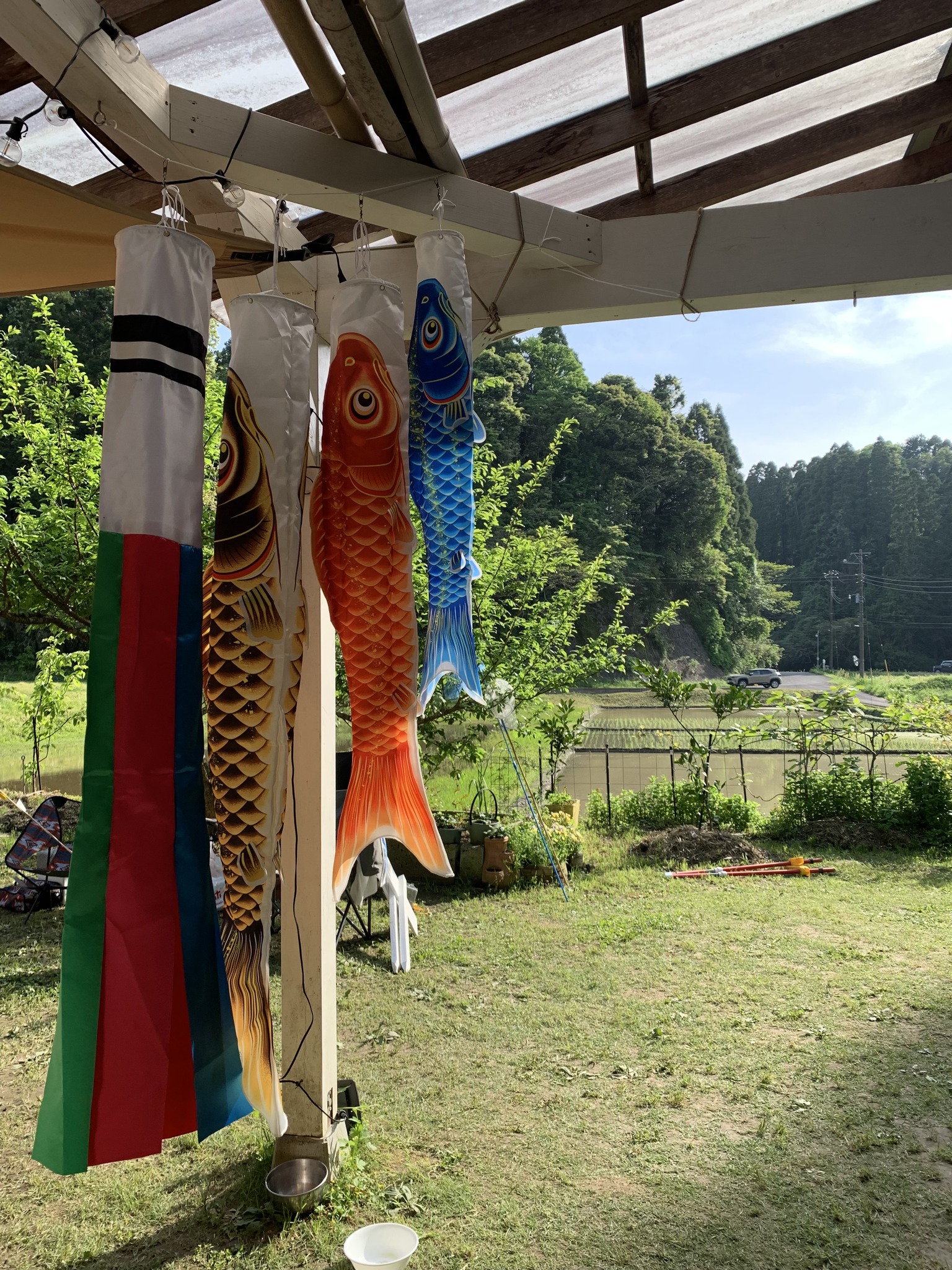 米作り体験　1人1年分の米づくりワークショップ