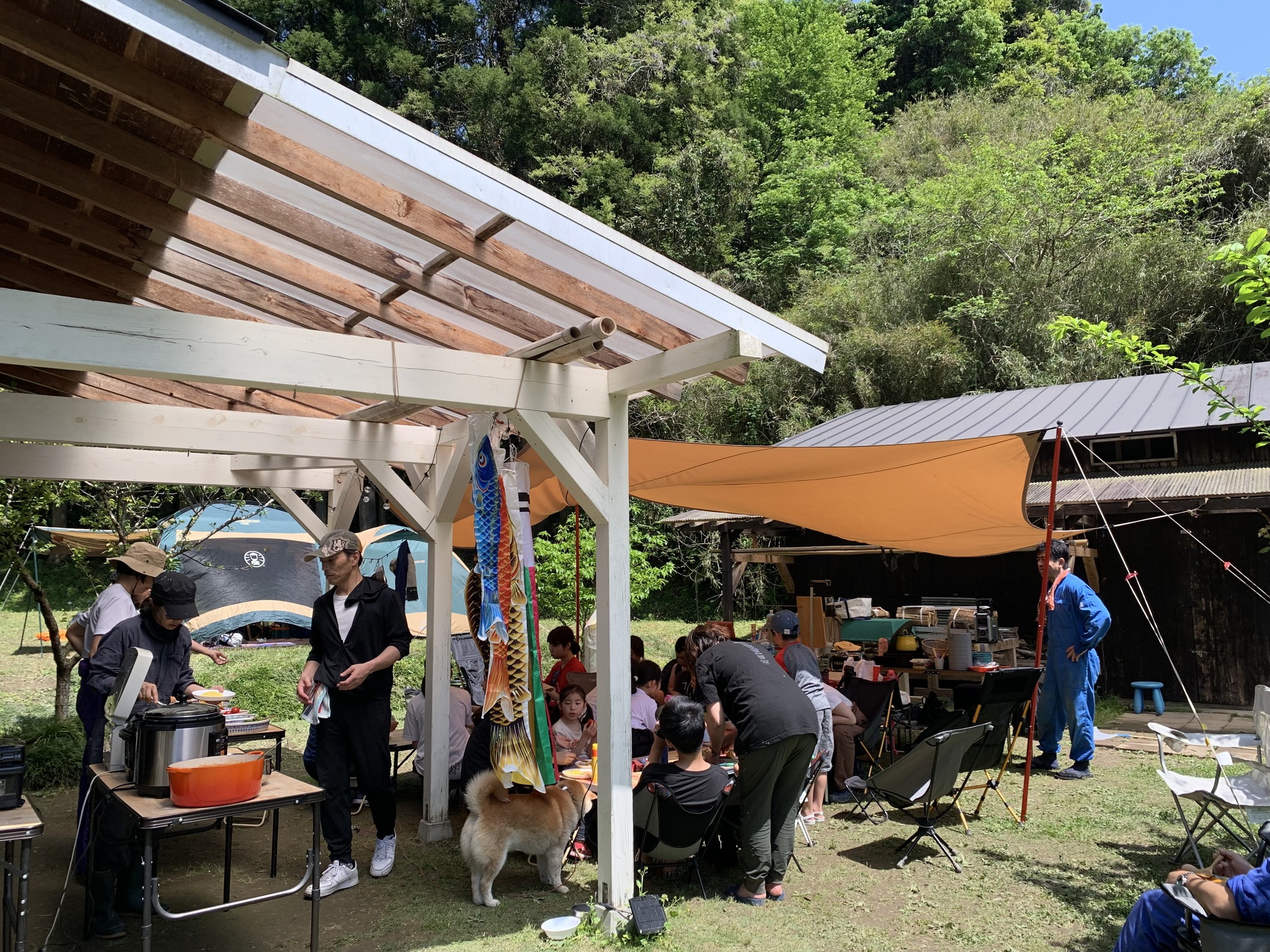 米作り体験　1人1年分の米づくりワークショップ