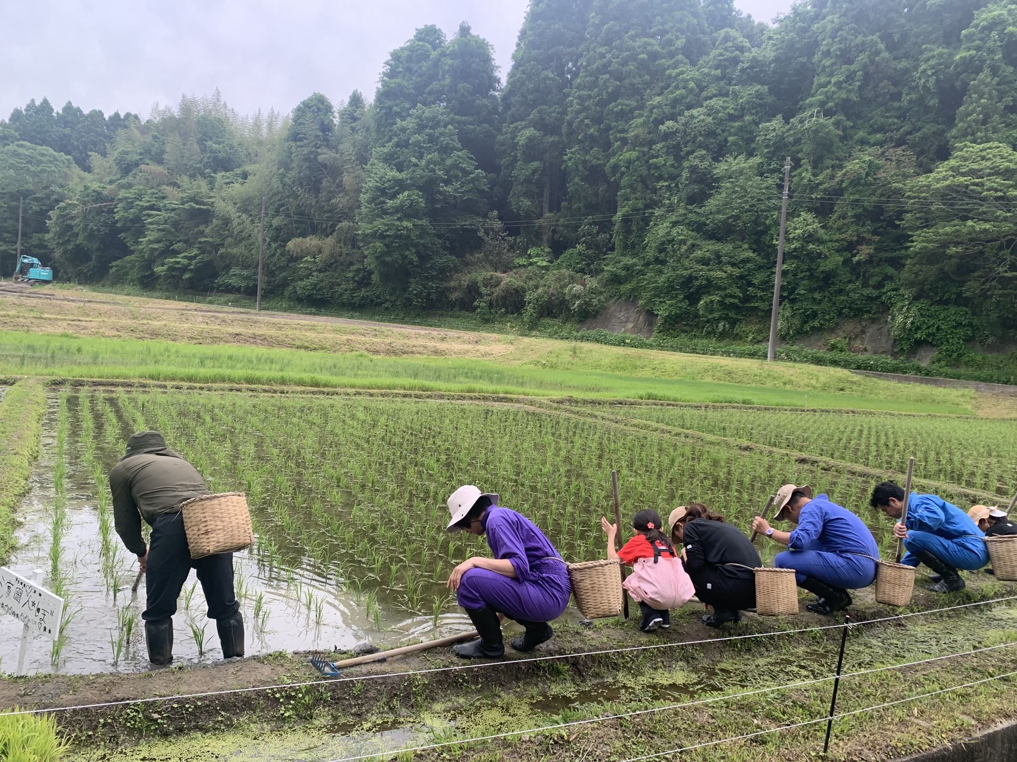 米作り体験　1人1年分の米づくりワークショップ