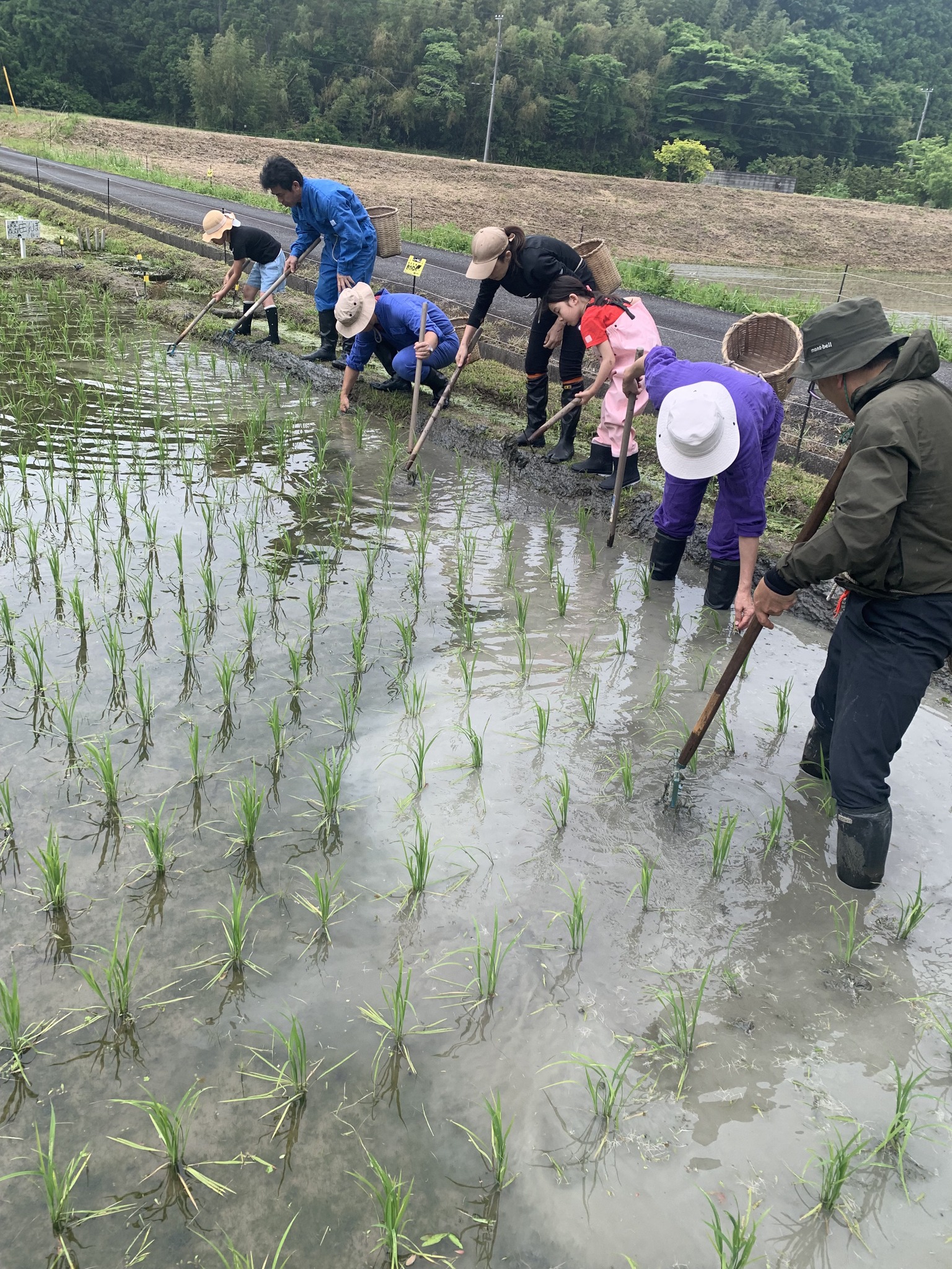 米作り体験　1人1年分の米づくりワークショップ
