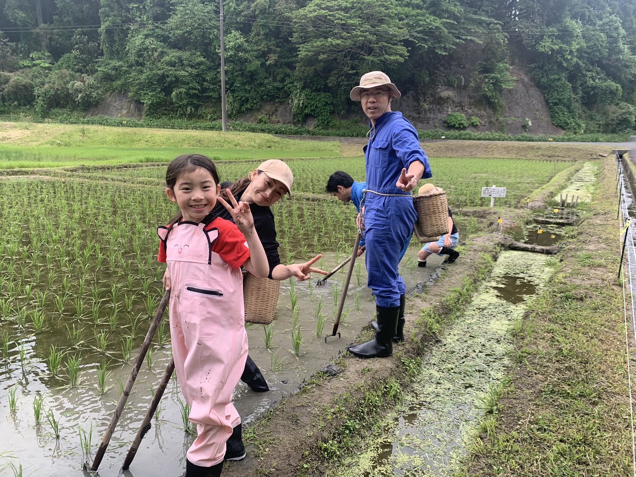 米作り体験　1人1年分の米づくりワークショップ