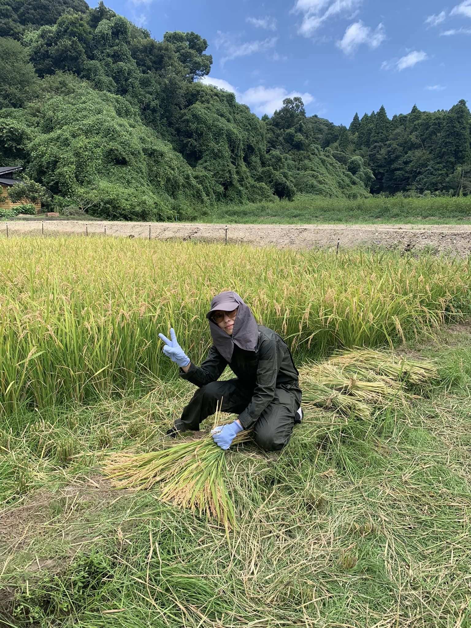 米作り体験　1人1年分の米づくりワークショップ