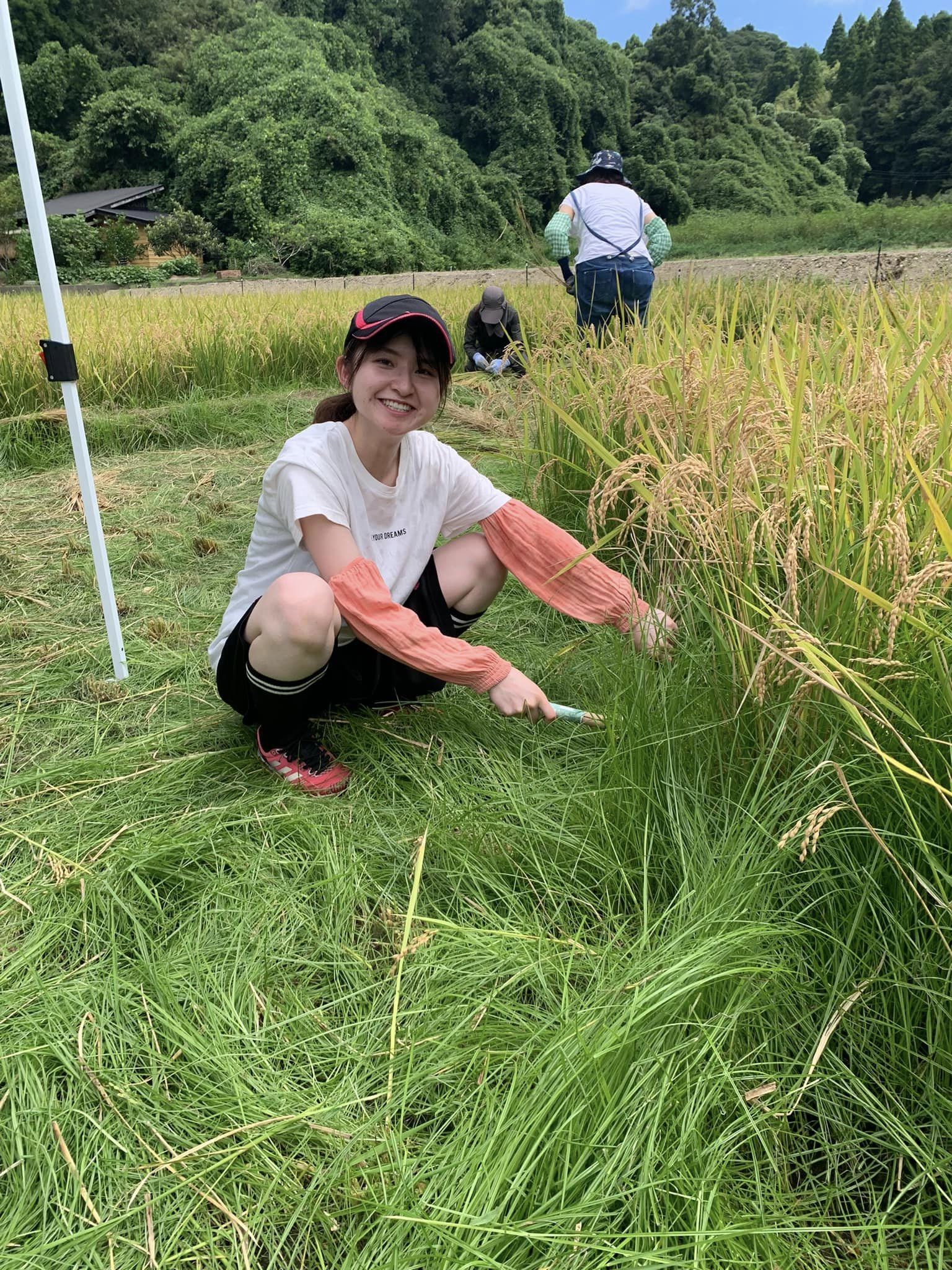 米作り体験　1人1年分の米づくりワークショップ