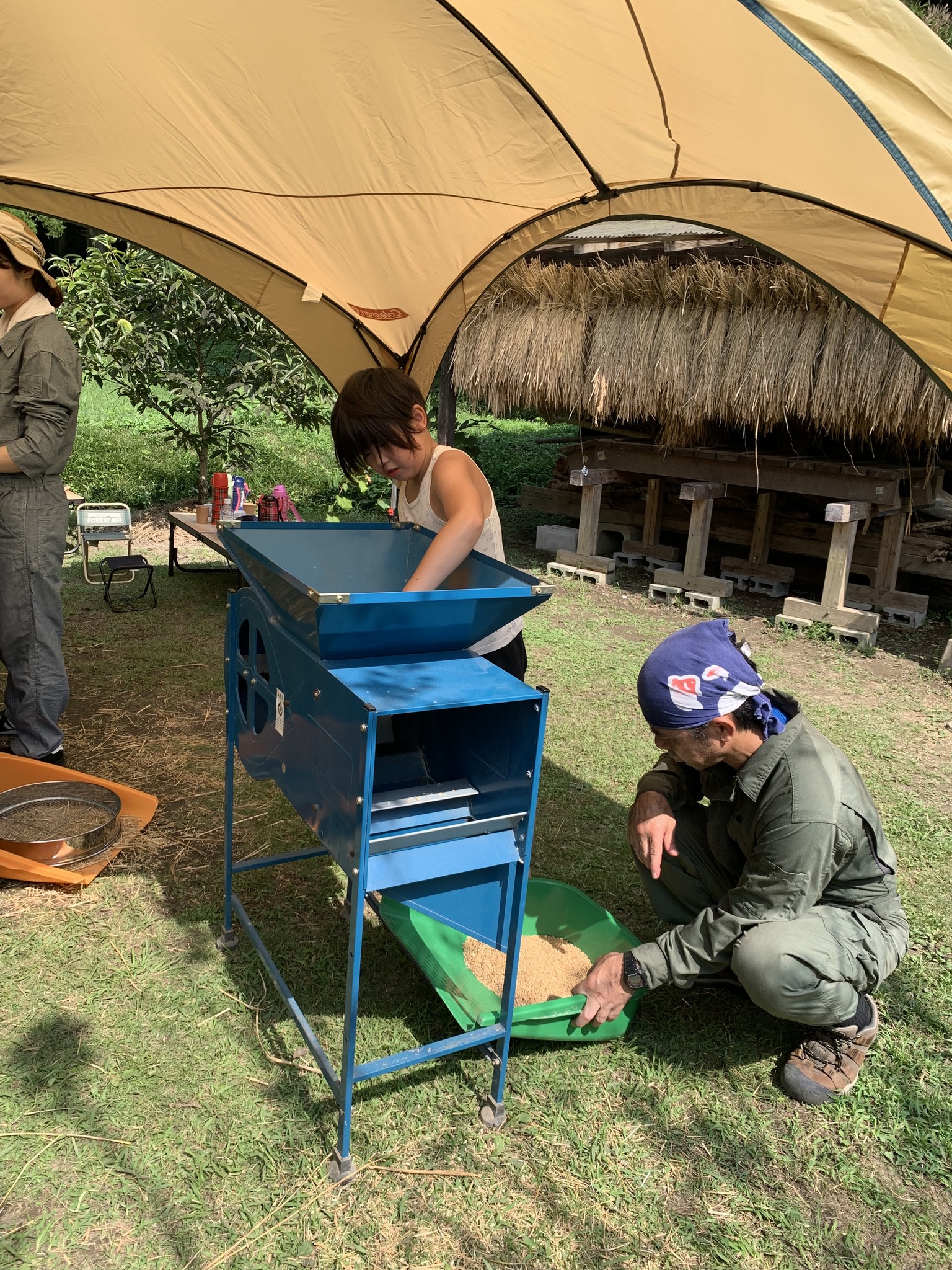 米作り体験　1人1年分の米づくりワークショップ