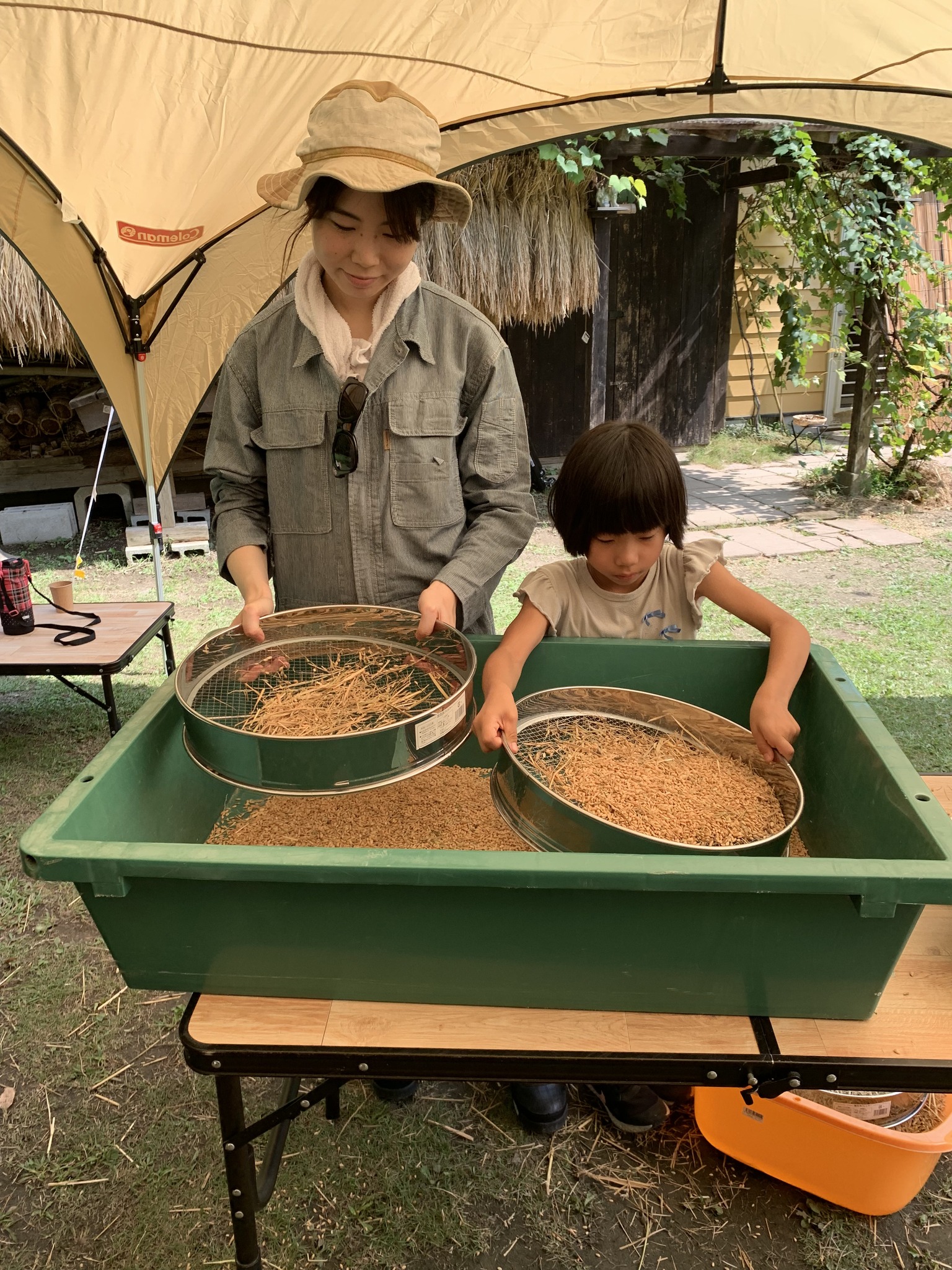 米作り体験　1人1年分の米づくりワークショップ