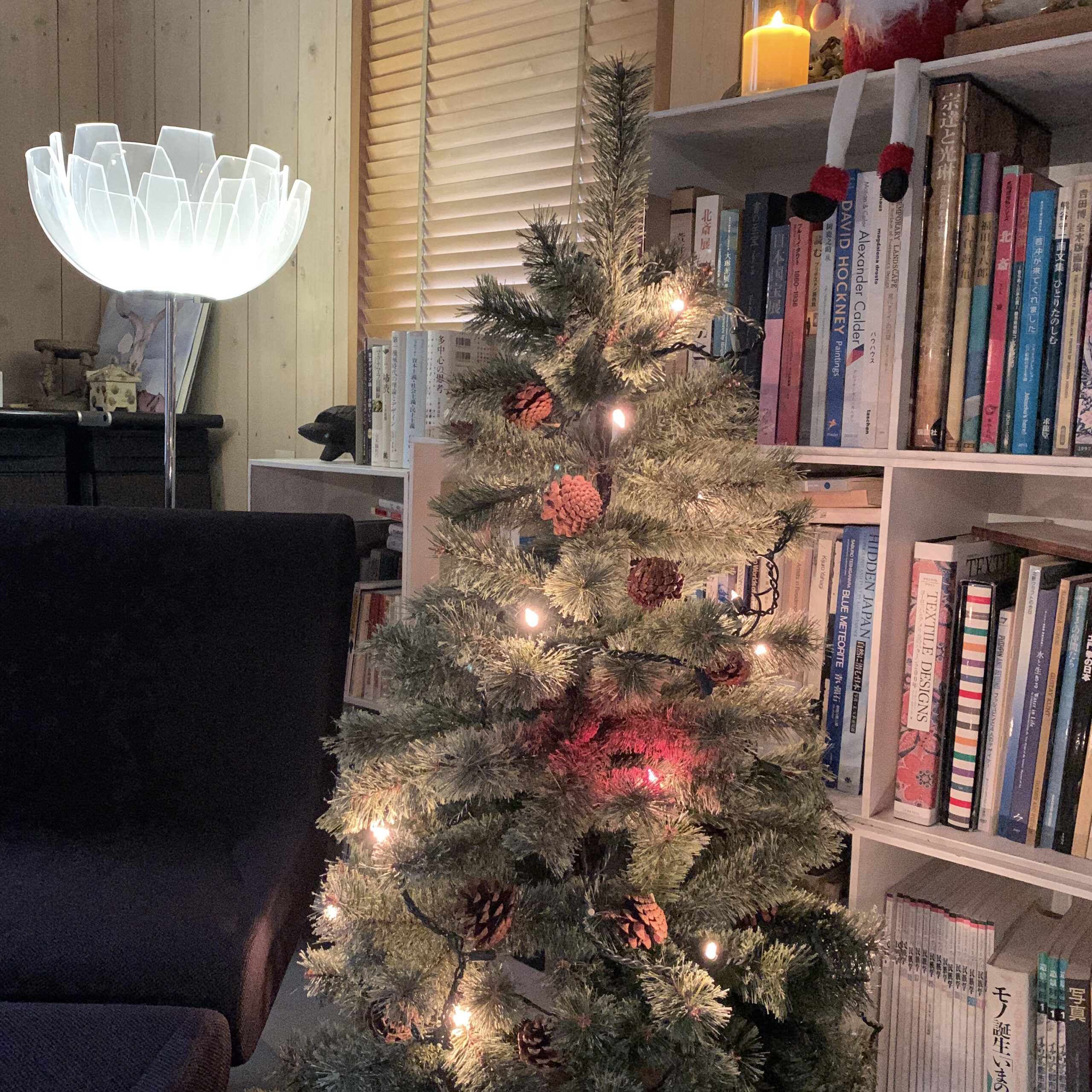 貸切クリスマス　アルザスツリー