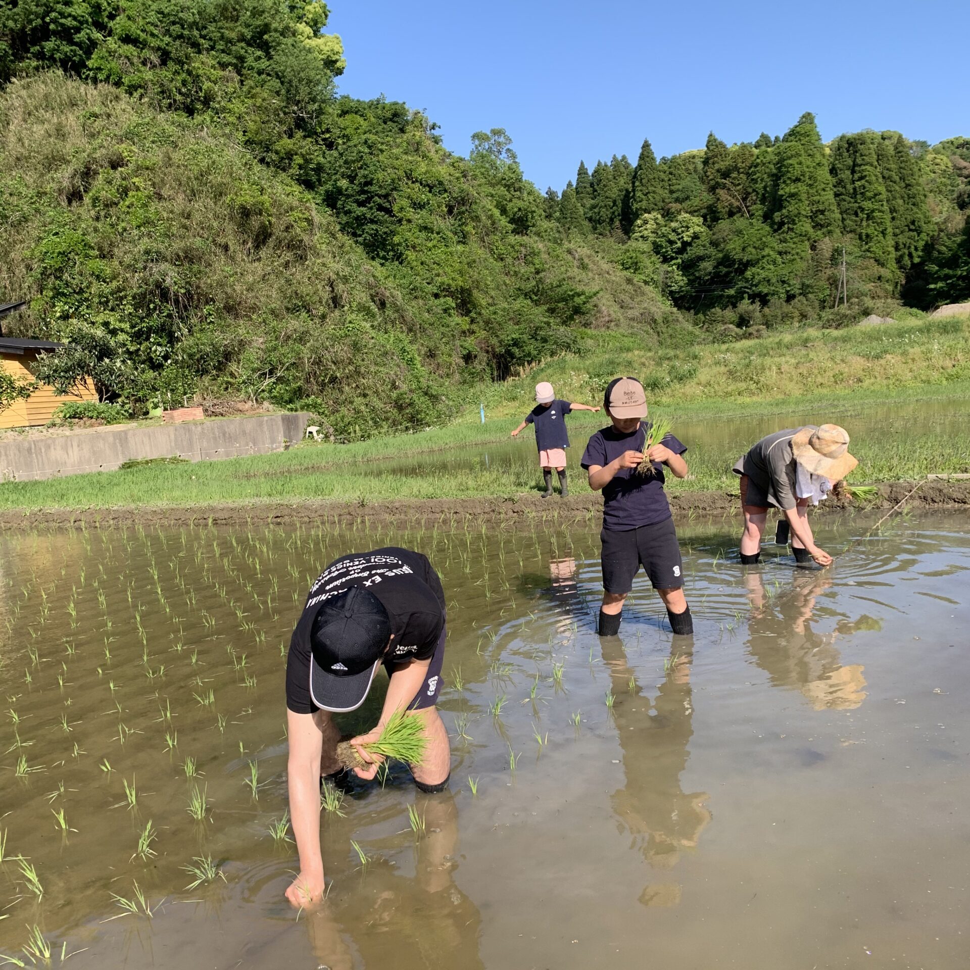 田植え体験　2025年