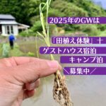 2025年千葉で田植え体験