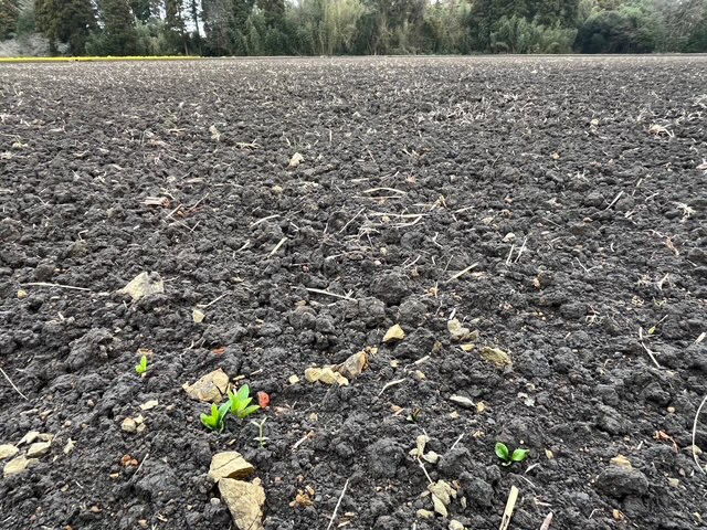 いすみ市みねやの里