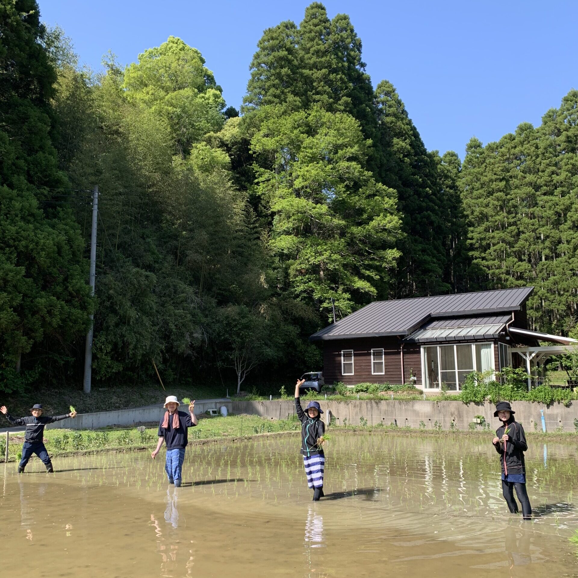 田植え体験　2025年