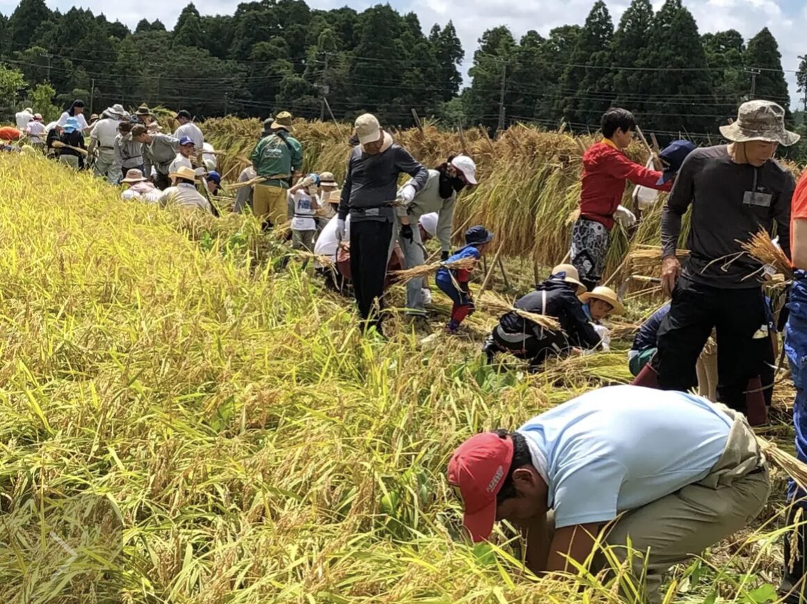 いすみ市みねやの里