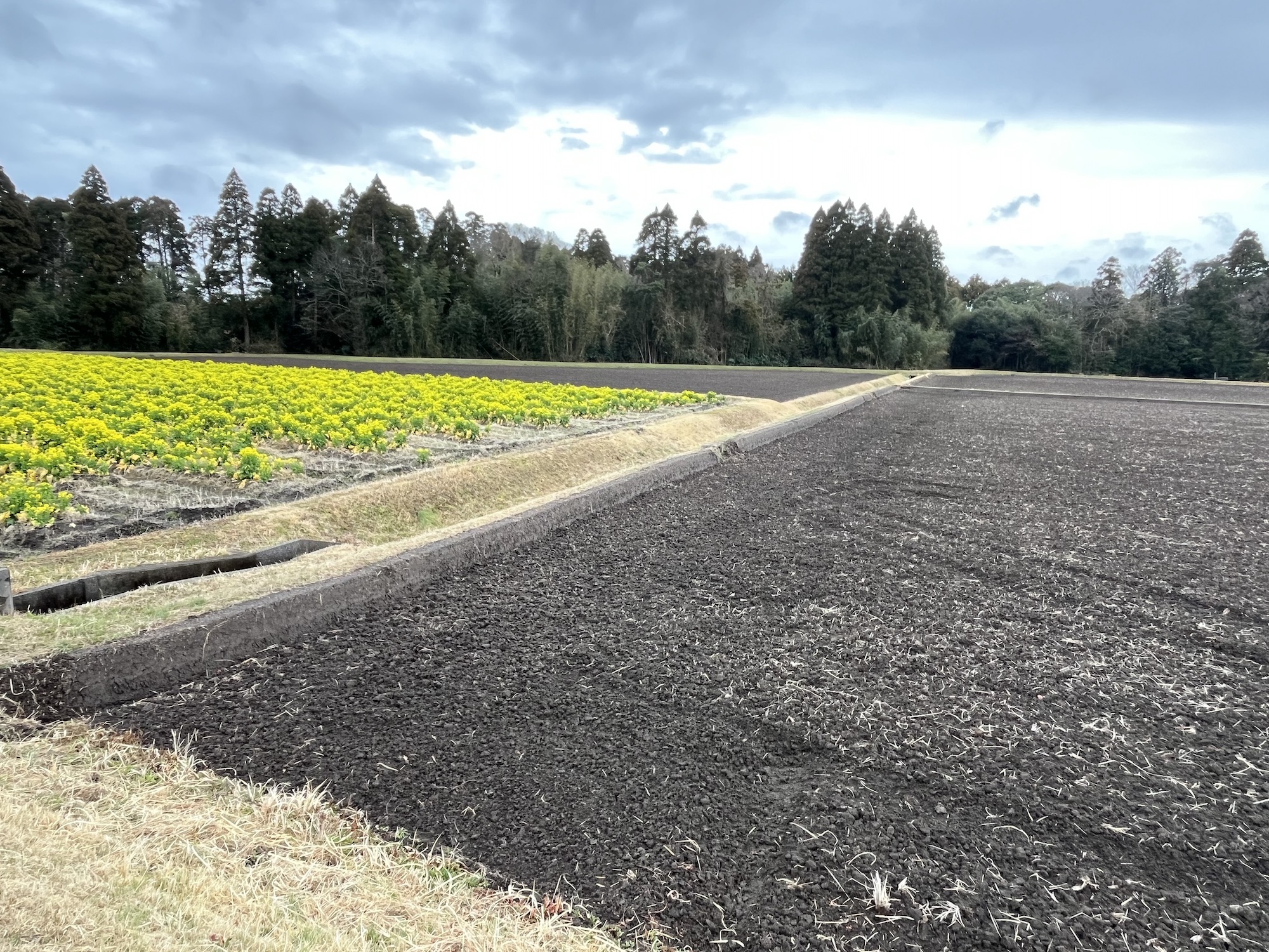 いすみ市みねやの里