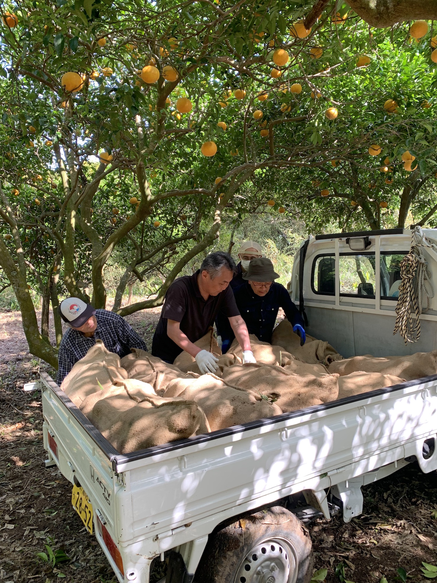 南房総夏みかん　援農　クラフトチューハイ