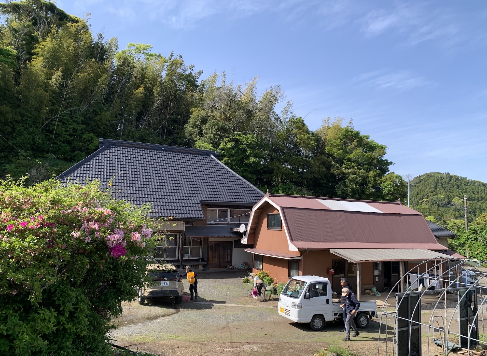 南房総夏みかん　援農　クラフトチューハイ