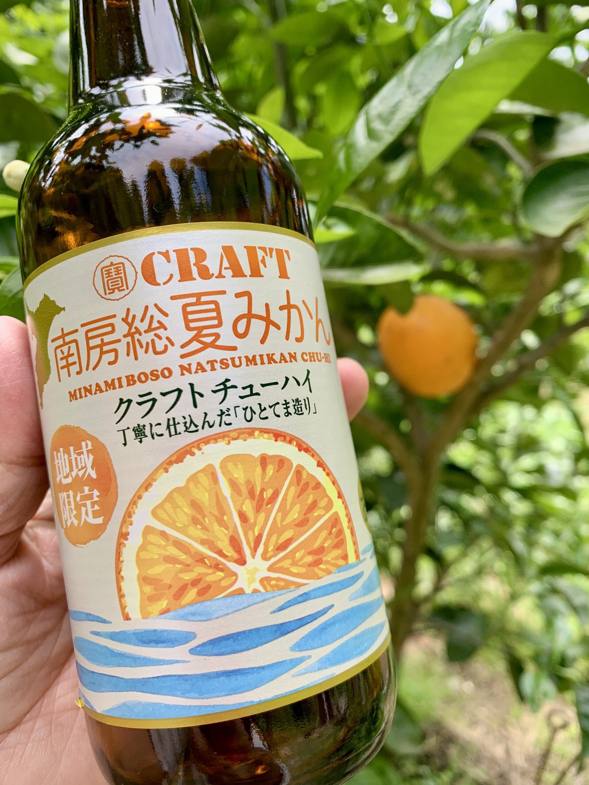 南房総夏みかん　援農　クラフトチューハイ