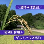 農泊　千葉　稲刈り体験　