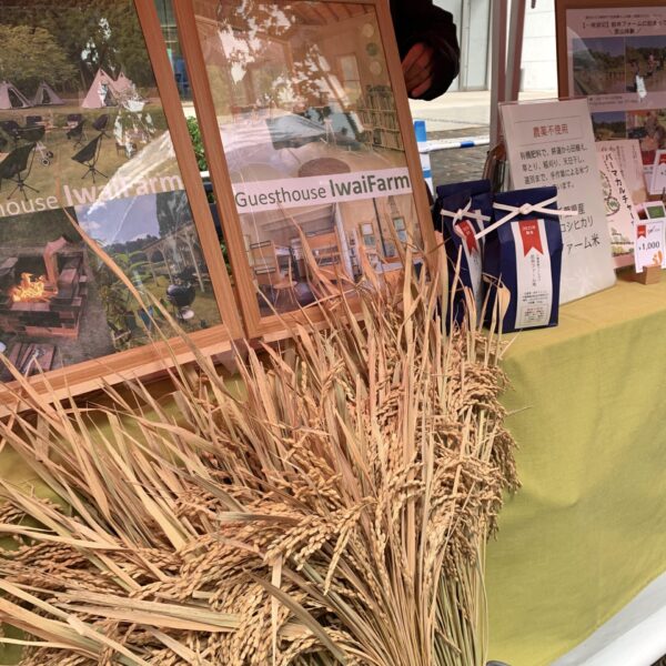 nippon food shift fes 2025 ニッポンフードシフト フェス