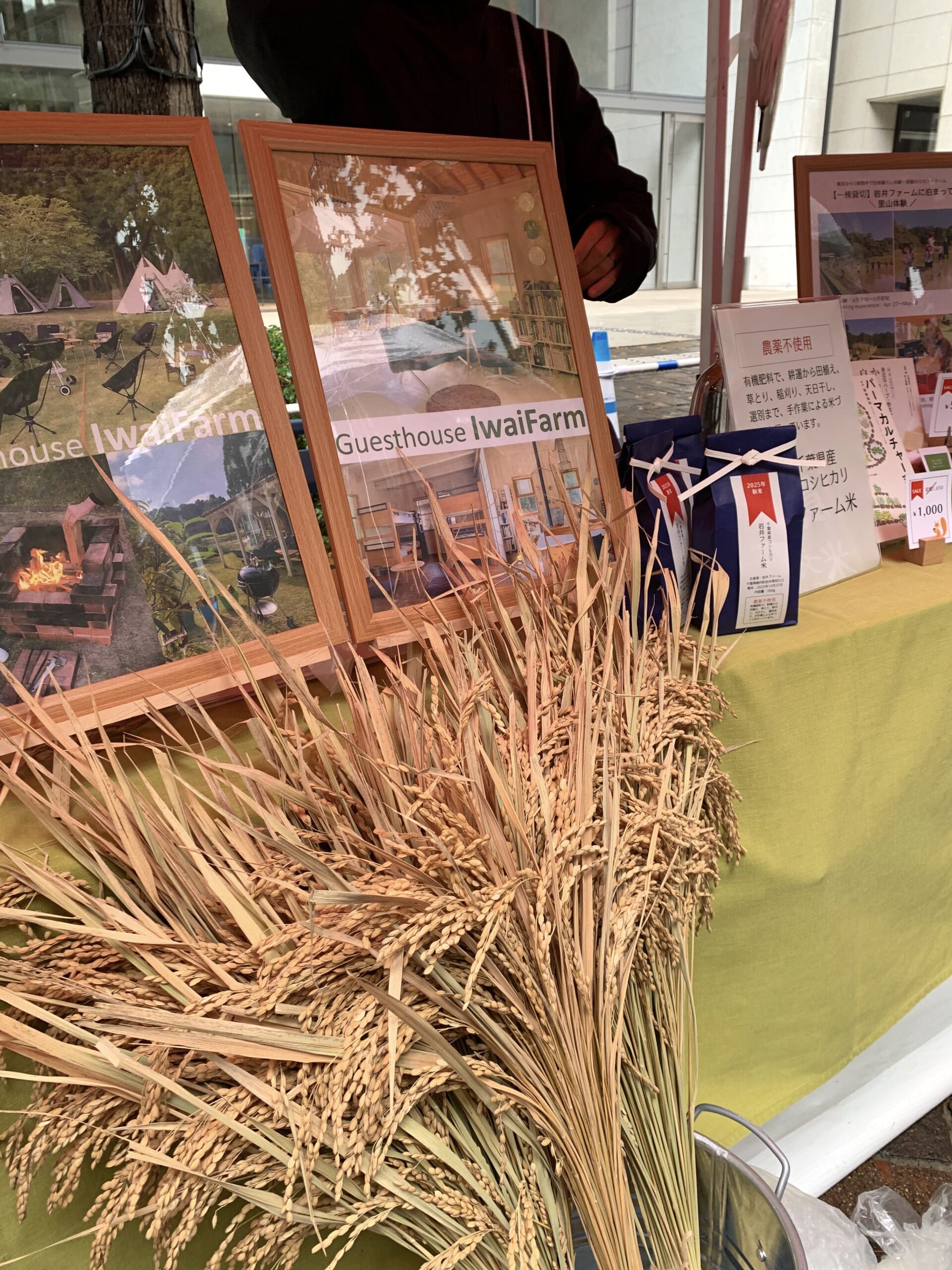 nippon food shift fes 2025　ニッポンフードシフト　フェス